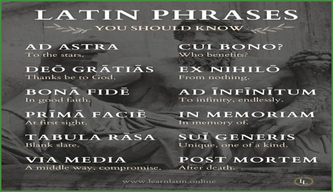 A Profile Of A Latin Beauty